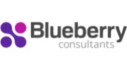 Blueberry Consultants