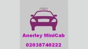 Anerley Minicab