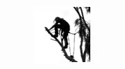 S B Tree Services