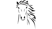 Foxcote House Livery Yard & Riding School