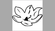 Magnolia the Florist