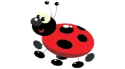 Emma Kerfoot's Ladybirds