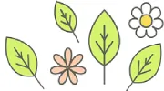 Powells Aromatherapy