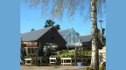Rumwood Nurseries