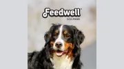 Feedwell Animal Foods