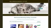 Beechwood Luxury Cattery Colchester