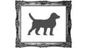 The Beagle Framing Studio