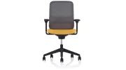Office Furniture Scene