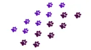 Happy Paws Sale