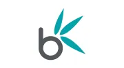 Bamboo Nine