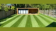 Essex Artificial Grass