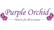 Purple Orchid