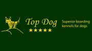 Top Dog