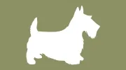 Vanity Fur Dog Grooming