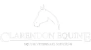 Clarendon Equine