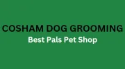 Cosham Dog Grooming