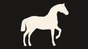 The White Horse