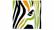 Office Zebra