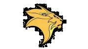 Lyons Carpentry