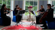 Wedding Musicians