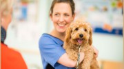 Oval Pet Centre