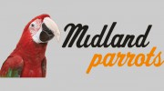 Midland Parrots