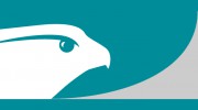 Falcon Property