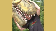 Designosaur UK