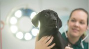 Natures Vet Clinic