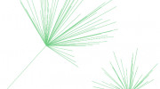 North Essex Counselling
