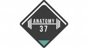 Anatomy 37