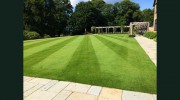 Lawn Guy