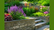All Seasons Landscapes and Gardens