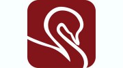 Silver Swan Recruitment