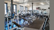 Formula One Gym