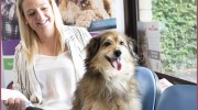 Barrow Hill Veterinary Centre