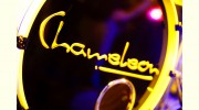 Chameleon Wedding & Function Band
