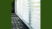 Reynolds Blinds