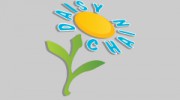 Daisy Chain Nursery