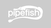Pipefish Digital
