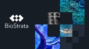 BioStrata