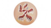 Liz Seal Holistic Massage