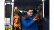 Kensington Hounds