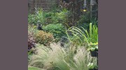 Makin Garden Designs