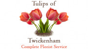 Tulips Of Twickenham
