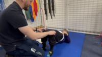 TheraSuit Method