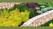C & S Landscapes
