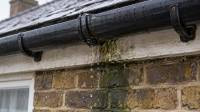 New guttering and downpipes in Croydon