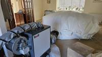 Carpet Moth Treatment