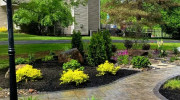 Latham Landscaping